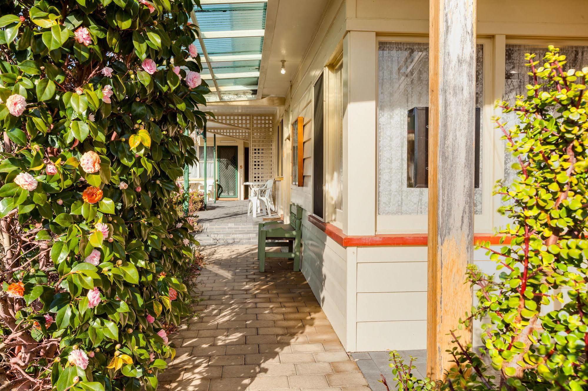Wintersun Gardens Motel Bicheno Eksteriør billede